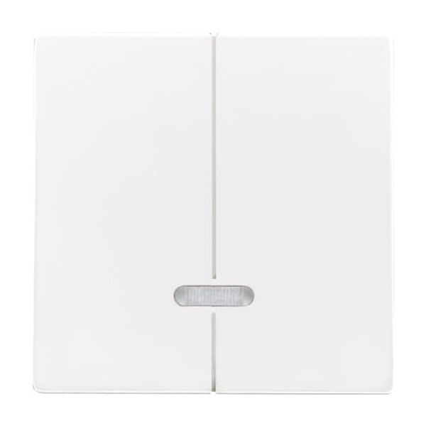 6545-84 CoverPlates (partly incl. Insert) future®, Busch-axcent®, solo®; carat® Studio white image 5
