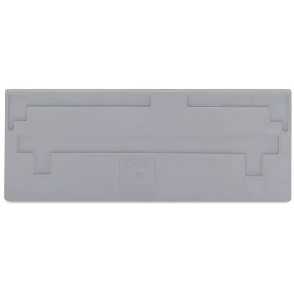 Separator plate 2 mm thick oversized gray image 1