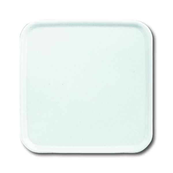 2548-214-50 A CoverPlates (partly incl. Insert) carat® Alpine white image 1