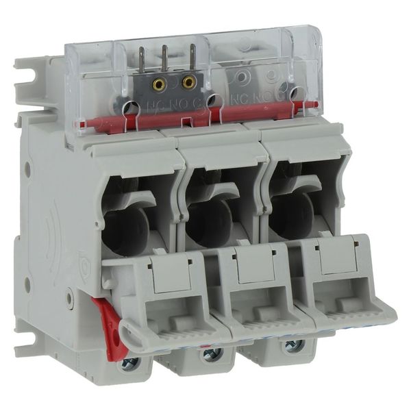 Fuse-holder, low voltage, 50 A, AC 690 V, 14 x 51 mm, 3P, IEC image 25