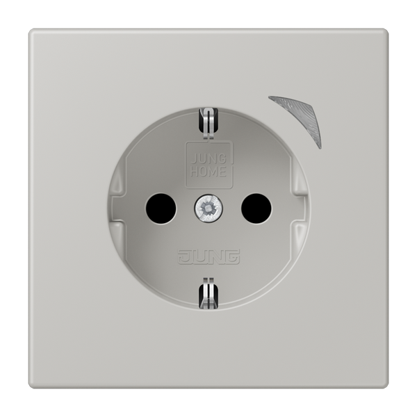 JUNG HOME SCHUKO socket Energy BTLC1521SE205 image 1