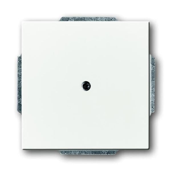 1749-84 Flush Mounted Inserts future®, Busch-axcent®, solo®; carat® Studio white image 2