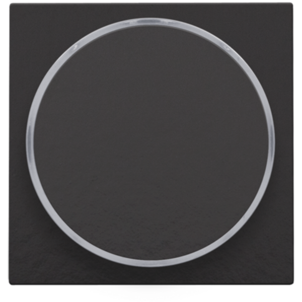 Finishing set with transparent ring without symbol for 6A push button image 1