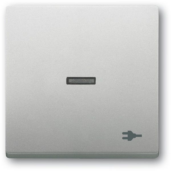1789 ST-866 CoverPlates (partly incl. Insert) pure stainless steel Stainless steel image 1