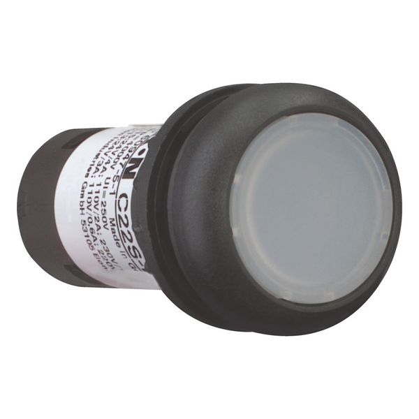 Illuminated pushbutton actuator, Flat, momentary, 1 N/O, Screw connection, LED white, White, Blank, 120 V AC, Bezel: black image 12