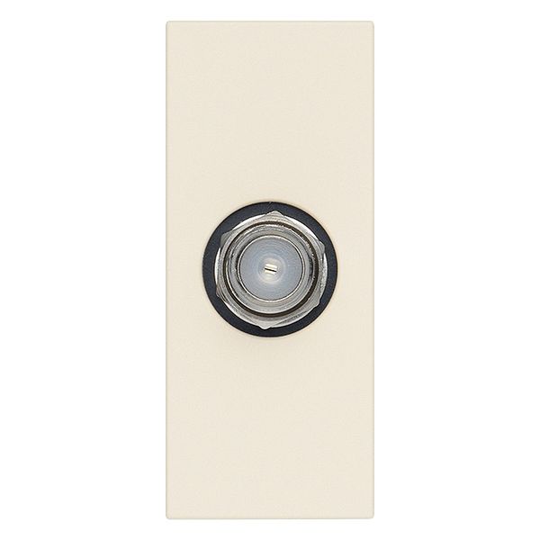 F type female socket connector canvas image 1