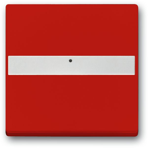1764 NLI-12-82-101 CoverPlates (partly incl. Insert) future®, Busch-axcent®, solo®; carat®; Busch-dynasty® Red image 1
