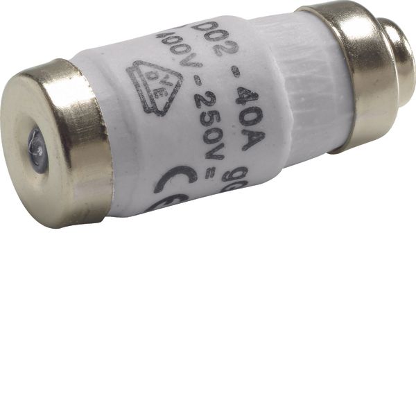 Fuse-link D02 E18 40A 400V gG with indicator, Rated voltage 400 V , 25 image 1