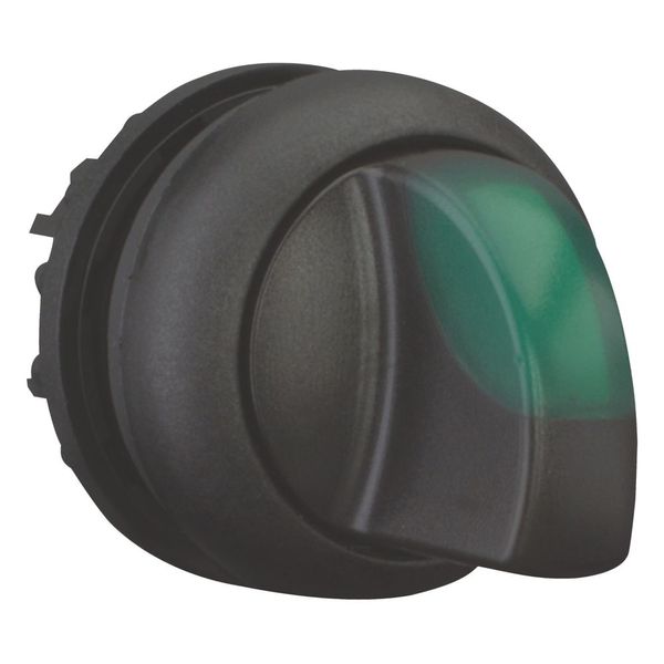 Illuminated selector switch actuator, RMQ-Titan, With thumb-grip, momentary, 3 positions, green, Bezel: black image 7