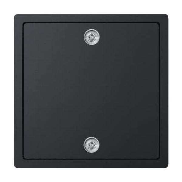 1796-885 CoverPlates (partly incl. Insert) future®, Busch-axcent®, carat® black matt image 2