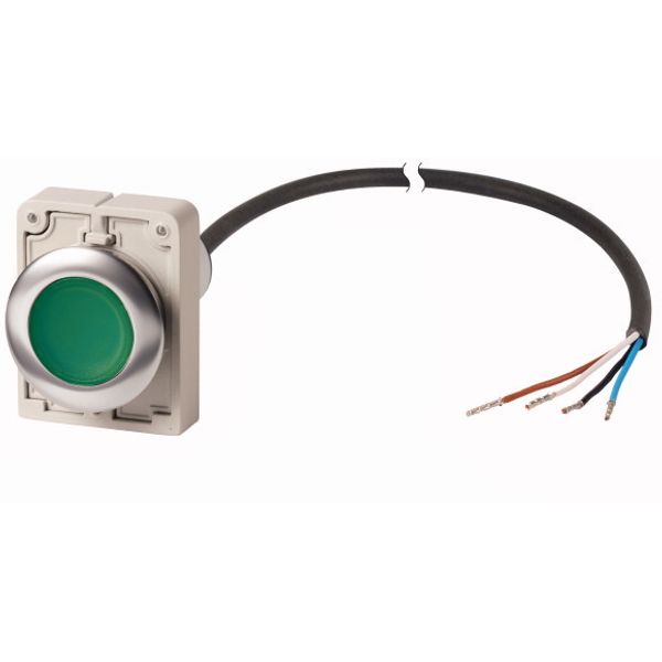 Illuminated pushbutton actuator, Flat, maintained, 1 N/O, Cable (black) with non-terminated end, 4 pole, 3.5 m, LED green, green, Blank, 24 V AC/DC, M image 1