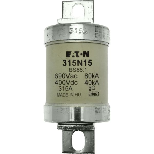 Fuse-link, low voltage, 315 A, AC 660 V, BS88, 49 x 120 mm, gL/gG, BS image 15