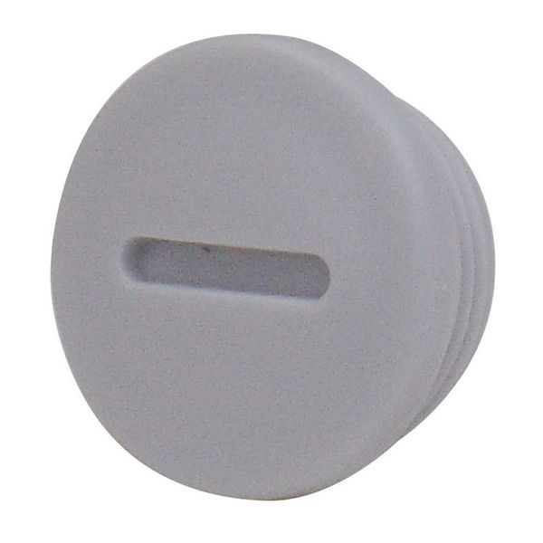 Metric blanking plug M63x1.5 image 1