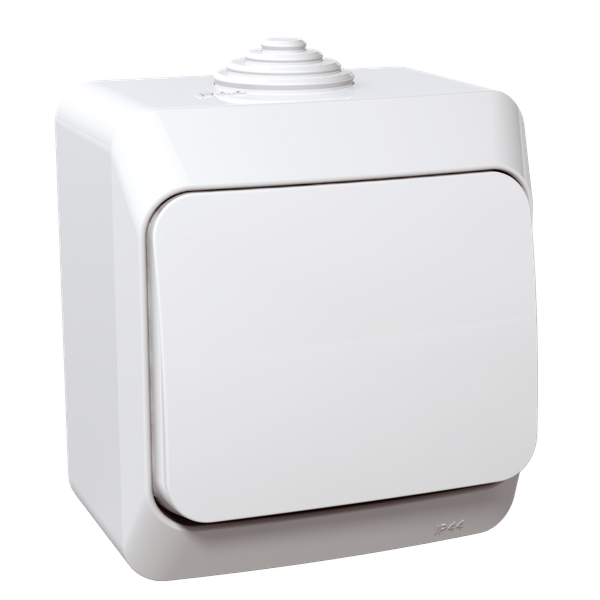 Cedar Plus - 1pole pushbutton - 16A, white image 4