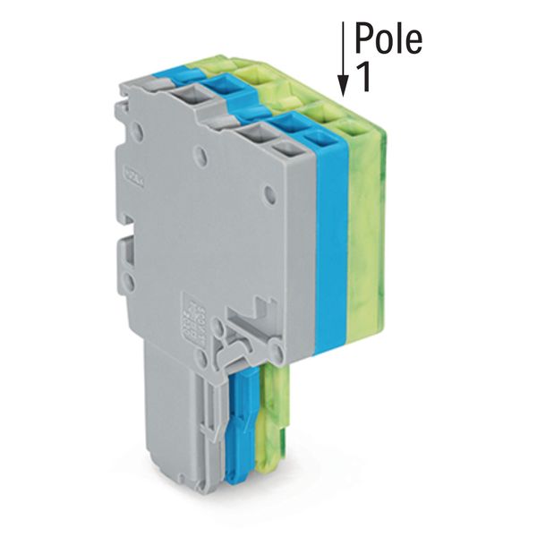 2-conductor female connector Push-in CAGE CLAMP® 1.5 mm² gray/blue/gre image 2