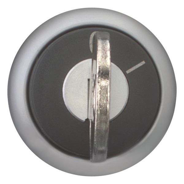 Key-operated actuator, maintained, 2 positions, Key withdrawable: 0, Bezel: titanium image 10