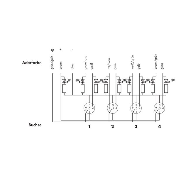 M12 sensor/actuator box 4-way 5-pole image 4