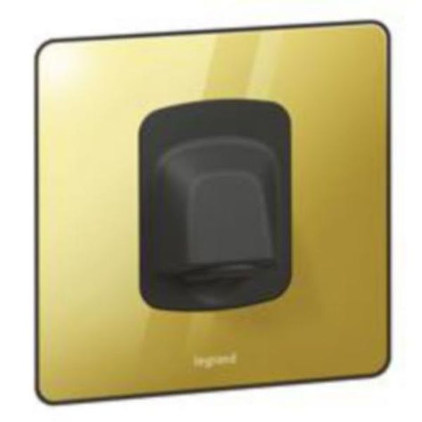 Synergy Sleek Cable outlet 20A - Glossy gold image 1