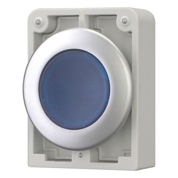 Illuminated pushbutton actuator, RMQ-Titan, Flat, momentary, Blue, Blank, Metal bezel image 5