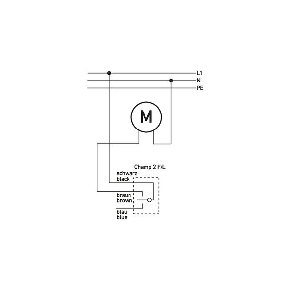 2G Frame CD582KGN image 10