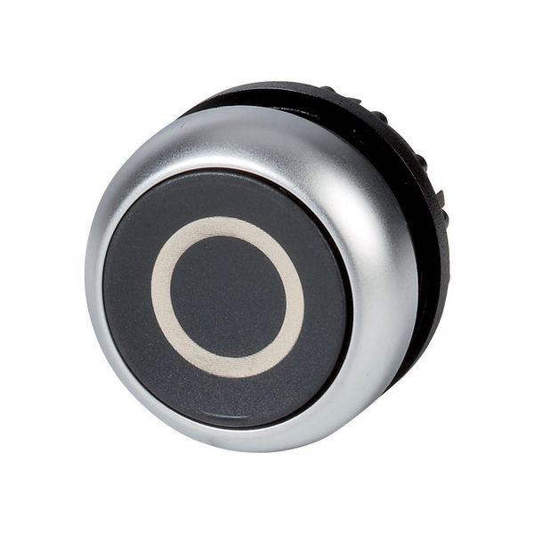 Pushbutton, RMQ-Titan, Flat, maintained, black, inscribed, Bezel: titanium image 3