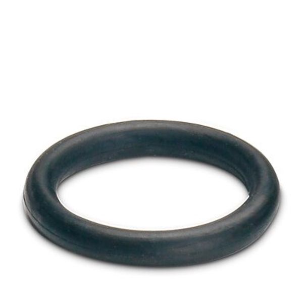 HC-M-PN2-ERSORI - Sealing ring image 1