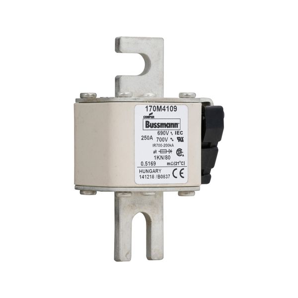 Fuse-link, high speed, 250 A, AC 690 V, DIN 1, 53 x 69 x 108 mm, aR, DIN, IEC, single indicator image 10