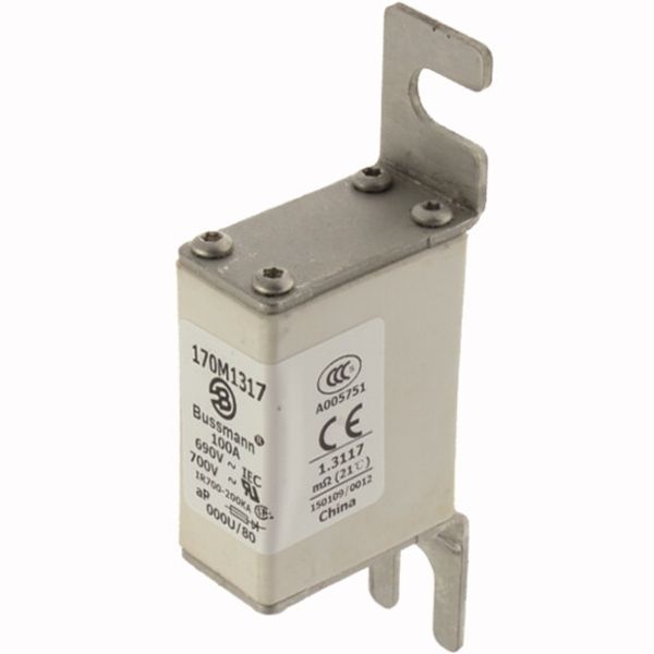 Fuse-link, high speed, 100 A, AC 690 V, DIN 000, 21 x 40 x 100 mm, aR, DIN, IEC image 3