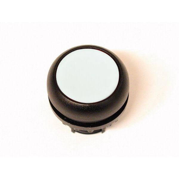 Pushbutton, RMQ-Titan, Flat, maintained, Without button plate, Bezel: black image 1