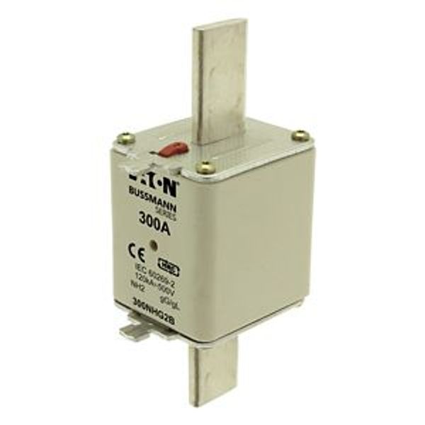 Fuse-link, LV, 300 A, AC 500 V, NH2, gL/gG, IEC, dual indicator, live gripping lugs image 4