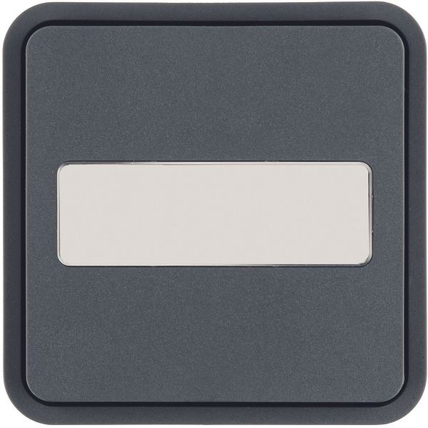 Rocker 1gang for W.1 push-button BCU, with labelling field, grey image 1