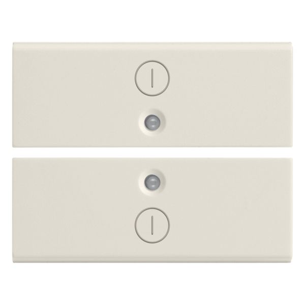 Two half-buttons 2M I/O symbols white image 1