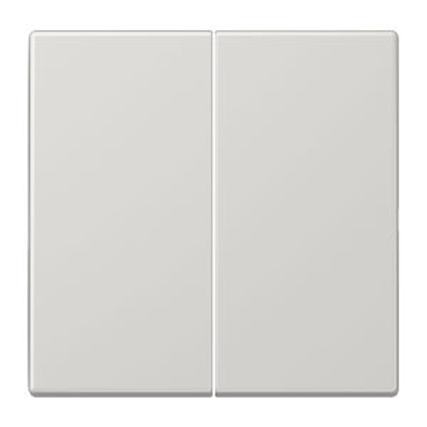 Dimmer Plate LS1565.07LG image 1