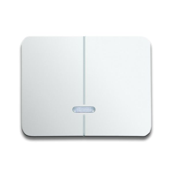 6545-24G CoverPlates (partly incl. Insert) carat® Studio white image 1