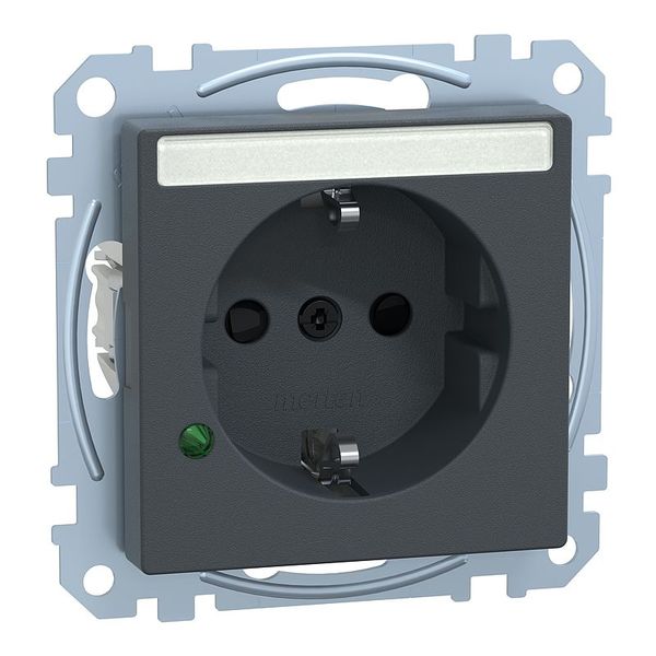 SCHUKO socket with surge protection and labeling field, contact protection, plug-in terminals, anthracite, System M image 1