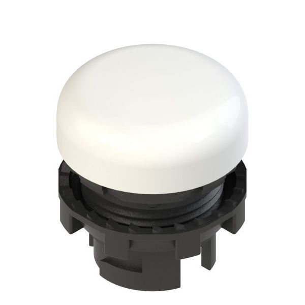 Color lens E2 series indicator light E2 1ILA210 image 1