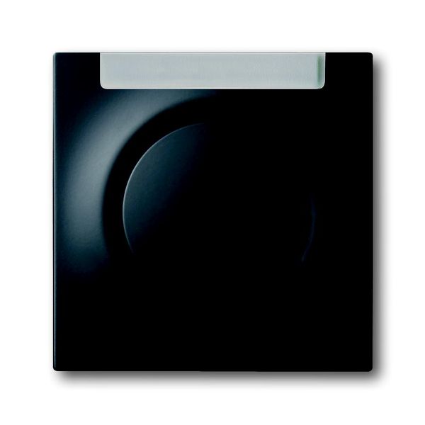 1781-775 CoverPlates (partly incl. Insert) carat® black matt image 1