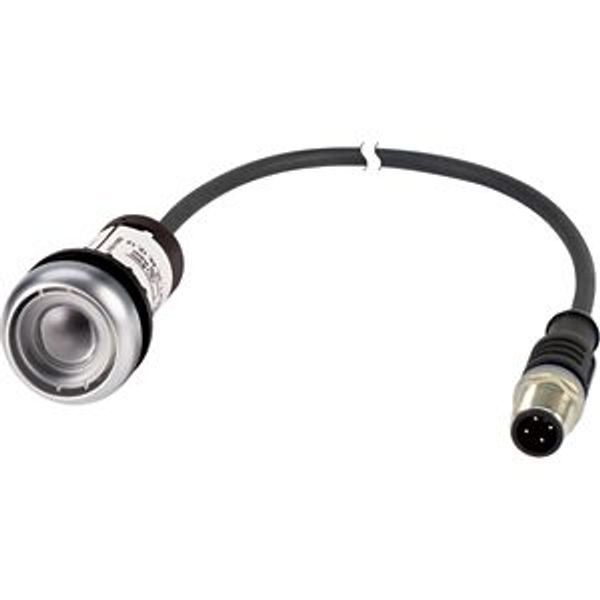 Pushbutton, Flat, momentary, 1 N/O, Cable (black) with M12A plug, 4 pole, 0.2 m, Without button plate, Bezel: titanium image 2