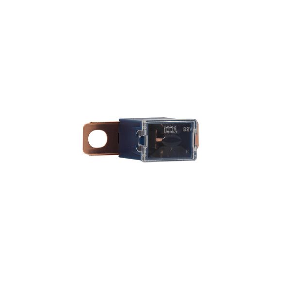 Fuse-link, Overcurrent NON SMD, 100 A image 10