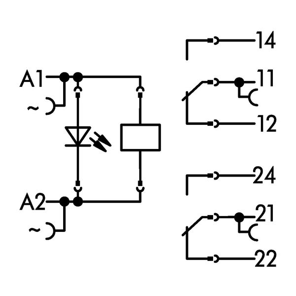 Relay module Nominal input voltage: 24 VAC 2 changeover contacts gray image 9