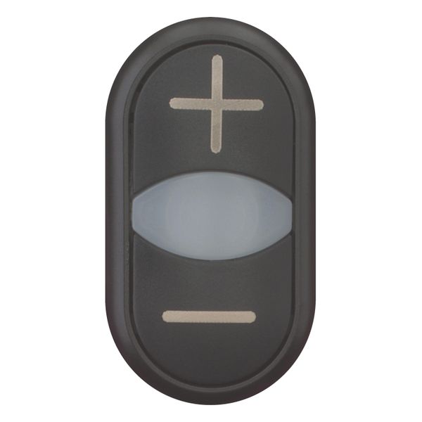 Double actuator pushbutton, RMQ-Titan, Actuators and indicator lights non-flush, momentary, White lens, black, black, inscribed, Bezel: black image 10