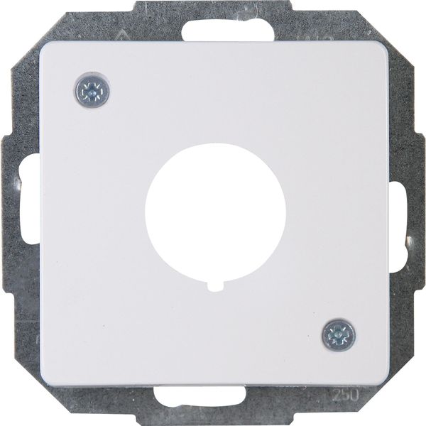 Cover plate for command element image 1