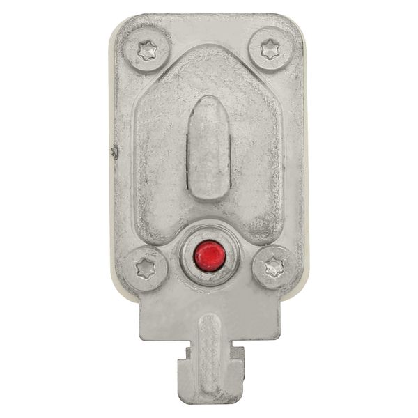 Fuse-link, high speed, 250 A, AC 690 V, DIN 1, 52 x 66 x 135 mm, gR, DIN, IEC, single indicator image 24