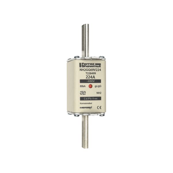 Fuse-link NH2 gG 690VAC 224A live tags Double indicator image 1