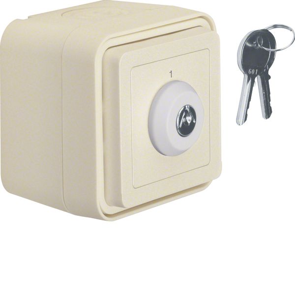 Key switch impr. surf.-mtd,isolated input ,lock-differing lockings,W1 image 1