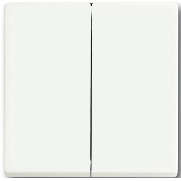 6736 FoH-884 CoverPlates (partly incl. Insert) Remote control White image 1