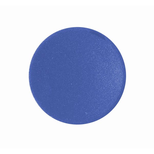 Button plate, flush, blue image 1