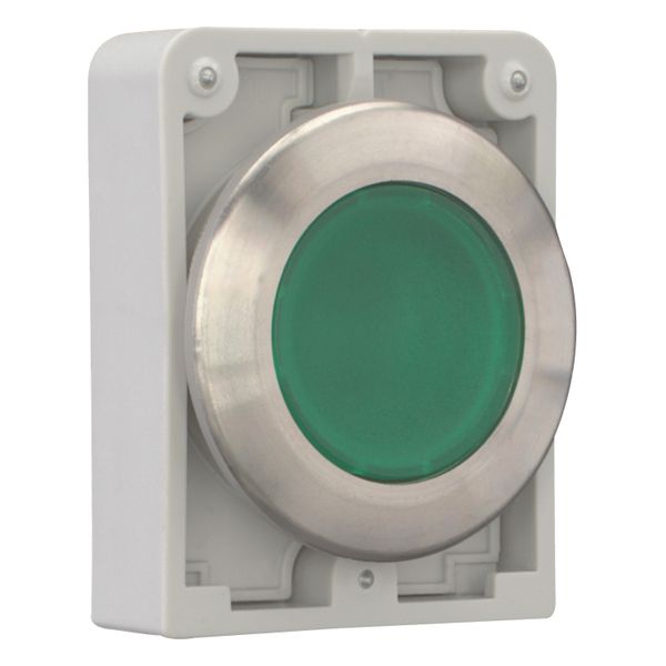 Illuminated pushbutton actuator, RMQ-Titan, flat, momentary, green, blank, Front ring stainless steel image 12