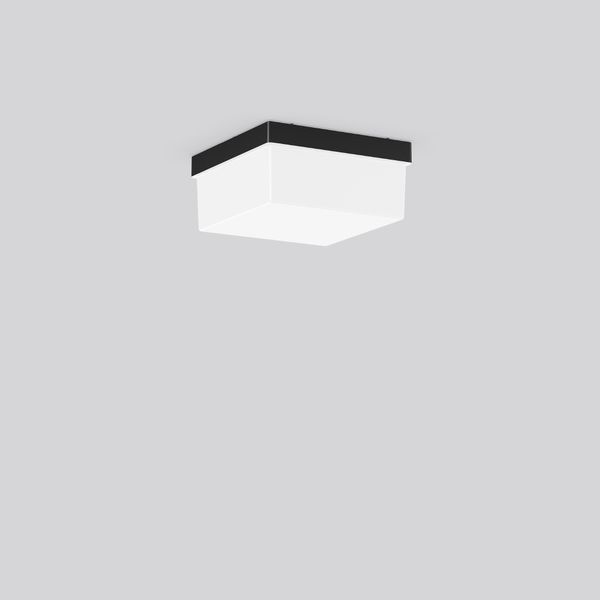 QUADRAT, black, on/off Ceiling and wall luminaires, L 226 B 226 H 110, image 2