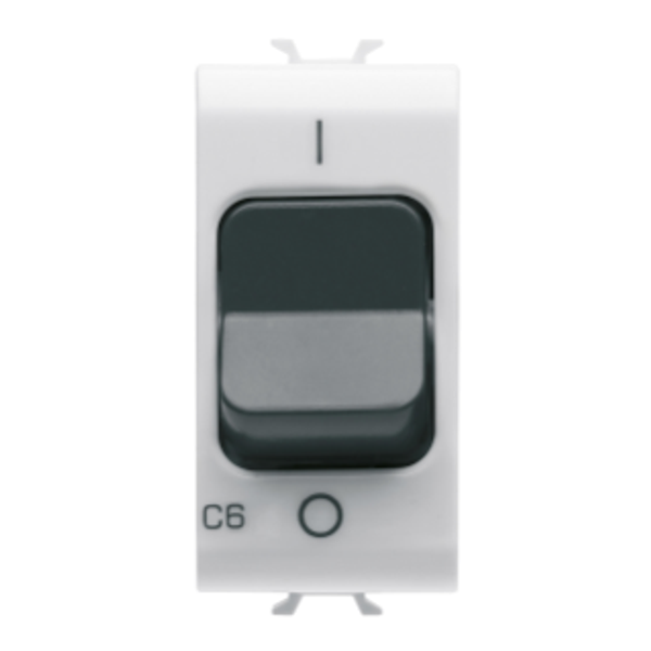 MINIATURE CIRCUIT BREAKER - C CHARACTERISTIC - 1P+N 6A 230Vac - 1 MODULE - GLOSSY WHITE - CHORUSMART image 1